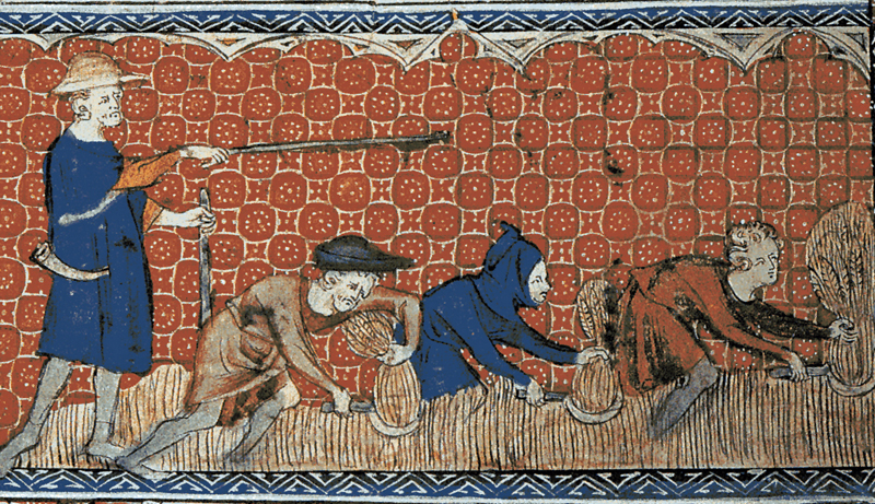 Depiction of socage on the royal demesne in feudal England, c.1310